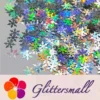 IMG_20200926_193653.webp 9mm Snowflake Shaped Holographic Silver Glitter LB0100
