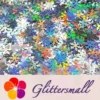 IMG_20200926_193741.webp 9mm Snowflake Shaped Holographic Silver Glitter LB0100