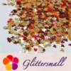 IMG_20200926_195107.webp 6mm Mixed Maple Leaf Leaves Shaped Glitter FY-23
