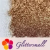 IMG_20201102_194226.webp 0.3mm Sand Gold Fine Glitter Pure Color B0213