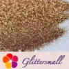 IMG_20201102_194233.webp 0.3mm Sand Gold Fine Glitter Pure Color B0213