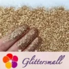 IMG_20201102_194325.webp 0.3mm Sand Gold Fine Glitter Pure Color B0213