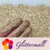 IMG_20201102_195050.webp 0.3mm Luxury Gold Fine Glitter Pure Color B0217