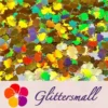IMG_20201112_200317.webp 9mm Butterfly Shaped Holographic Gold Glitter LB0210