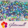 IMG_20201112_205928.webp 9mm Fish Tail Shaped Holographic Silver Glitter LB0100