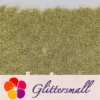 0.2mm Professional Cosmetic Glitter For Lip Gloss Holographic Light Gold FCHL222