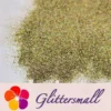 0.2mm Professional Cosmetic Glitter For Lip Gloss Holographic Light Gold FCHL222