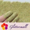 0.2mm Professional Cosmetic Glitter For Lip Gloss Holographic Light Gold FCHL222