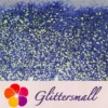 IMG_20201127_162714.webp 1mm Fluorescent Blue High Brightness Iridescent Glitter FC337