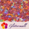 IMG_20201221_134659.webp 9mm Flame Or Fire Shaped Holographic Hazy Pink Glitter LB0911