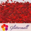 IMG_20201221_135057_cdbfb394-66a5-47a4-a573-e1373dd1a3cc.webp 9mm Flame Or Fire Shaped Holographic Red Glitter LB0300