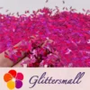 4mm Thunder Or Lightning Shaped Holographic Rose Red Glitter LB0912