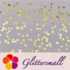 IMG_20210105_135754.webp Golden Tropical Shaped Collection Mixed Metal Glitter MC205