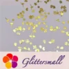 IMG_20210105_135930.webp Golden Tropical Shaped Collection Mixed Metal Glitter MC205