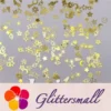 IMG_20210105_142306.webp Golden Space Shaped Collection Mixed Metal Glitter MC208