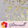 IMG_20210105_142852.webp Golden Random Shaped Mixed Metal Glitter MC209