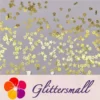 IMG_20210105_144052.webp Golden Marine Organism Shaped Mixed Metal Glitter MC211