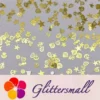 IMG_20210105_144124.webp Golden Marine Organism Shaped Mixed Metal Glitter MC211