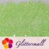 IMG_20210108_161450.webp 0.2/0.4mm Holographic and Fluorescent Green Mixed High Brightness Glitter HL04