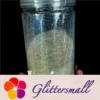 IMG_20210108_170056.webp 0.4mm Translucent Holographic White Glitter HL01
