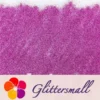 0.2mm Professional Cosmetic Glitter For Lip Gloss, Lipstick Holographic Rose Red FCHL912