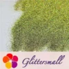 0.2mm Professional Cosmetic Glitter For Lip Gloss, Lipstick Holographic Green FCHL601