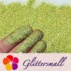 0.2mm Professional Cosmetic Glitter For Lip Gloss, Lipstick Holographic Green FCHL601