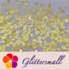 Golden Hollow Out Butterfly Shaped Mixed Metal Glitter MC217
