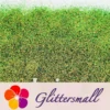IMG_20210123_152835.webp 0.4mm Iridescent Phantom Olive Green Color Shift Glitter C-BSL004