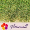 IMG_20210123_152938.webp 0.4mm Iridescent Phantom Olive Green Color Shift Glitter C-BSL004