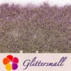 IMG_20210123_153540.webp 0.4mm Iridescent Phantom Purple Color Shift Glitter C-BSL7822
