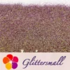 IMG_20210123_160631.webp 0.4mm Iridescent Phantom Purple Color Shift Glitter C-BSL003