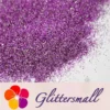 IMG_20210124_195850.webp 0.4mm Iridescent Phantom Purple Color Shift Glitter C-BSL7824