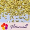 IMG_20210302_164002.webp Golden Tropical Stereoscopic Shaped Mixed Metal Nail Charms MD201