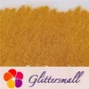IMG_20210311_195149_89e6a499-ad8b-4237-8a2f-1769399b78bc.webp 0.2mm Solvent Resistance Holographic Gold Glitter For Nail Polish LS0200