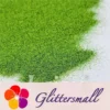 IMG_20210311_201812_b92e9882-6c70-4c43-8396-60b0a4b8f6d1.webp 0.2mm Solvent Resistance Holographic Grass Green Glitter For Nail Polish LS0601