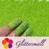 IMG_20210311_201857_8f1c21fc-99d0-4476-b4f7-e4625395f3bd.webp 0.2mm Solvent Resistance Holographic Grass Green Glitter For Nail Polish LS0601
