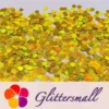 IMG_20210315_194547.webp 6mm Round Shaped Holographic Gold Glitter LB0210