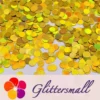 IMG_20210315_194637.webp 6mm Round Shaped Holographic Gold Glitter LB0210