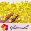 IMG_20210315_194731.webp 6mm Round Shaped Holographic Gold Glitter LB0210
