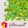 IMG_20210315_195459.webp 6mm Round Shaped Holographic Green Glitter LB0601