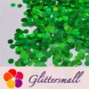 IMG_20210315_210532.webp 6mm Round Shaped Holographic Green Glitter LB0600