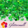 IMG_20210315_210545.webp 6mm Round Shaped Holographic Green Glitter LB0600