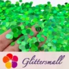 IMG_20210315_210641.webp 6mm Round Shaped Holographic Green Glitter LB0600