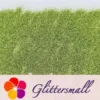 IMG_20210322_151455.webp 0.3mm Light Green Fine Glitter Pure Color B0600