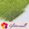 IMG_20210322_151606.webp 0.3mm Light Green Fine Glitter Pure Color B0600