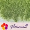 IMG_20210322_151635.webp 0.3mm Light Green Fine Glitter Pure Color B0600