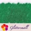 IMG_20210322_153251.webp 0.3mm Forest Green Fine Glitter Pure Color B0610