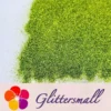 IMG_20210322_154341.webp 0.3mm Leaf Green Fine Glitter Pure Color B0617