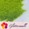 IMG_20210322_154355.webp 0.3mm Leaf Green Fine Glitter Pure Color B0617